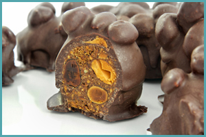 hnina gourmet healthy chocolate review